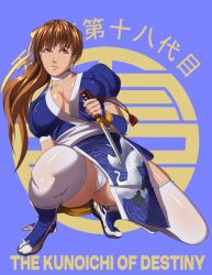 1girl breasts dead_or_alive kasumi_(doa) large_breasts long_hair solo