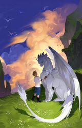 Rule 34 | aged down, alina99liang, animalization, blonde hair, claws, cloud, cloud strife, cloudy sky, dragon, final fantasy, final fantasy vii, gloves, grass, green eyes, highres, how to train your dragon (series), male focus, parody, ponytail, sephiroth, shirt, shorts, sky, standing, white shirt
