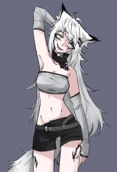 Rule 34 | 1girl, absurdres, ahoge, animal ears, arknights, arm up, armpits, black shorts, breasts, cleavage, green background, grey arm warmers, grey hair, grey tube top, highres, lappland (arknights), long hair, long sleeves, looking at viewer, medium breasts, messy hair, navel, purple eyes, sharp teeth, short shorts, shorts, simple background, smile, solo, strapless, tail, teeth, tofusquisha, tube top, variant set, very long hair, white eyes, wolf ears, wolf girl, wolf tail
