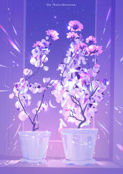 1girl artist_name barefoot branch cherry_blossoms clear_sky crescent_moon dark_skin dress english_text flower from_side gradient_sky highres huhv. indoors light_particles long_hair moon night night_sky original petals pink_flower plant potted_plant purple_background purple_flower purple_sky purple_theme scenery shadow sitting sky sleeveless sleeveless_dress solo sparkle star_(sky) starry_sky tree white_dress white_flower white_hair wide_shot window