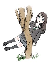 1girl blue_eyes blush brown_hair cardigan commentary_request full_body highres idolmaster idolmaster_cinderella_girls long_hair looking_at_viewer necktie open_mouth pleated_skirt school_uniform shibuya_rin shoes skirt solo stuck tree tsubana