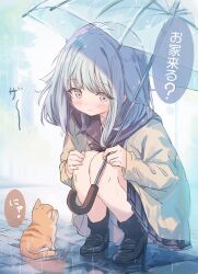 1girl black_bow black_bowtie black_shoes black_socks blue_hair blue_skirt blush bow bowtie cardigan closed_mouth commentary_request cutlass_(classic_chocolate) full_body green_cardigan grey_eyes highres holding holding_umbrella long_sleeves orange_cat original pleated_skirt rain shoes short_hair skirt smile socks solo speech_bubble squatting translation_request transparent transparent_umbrella umbrella