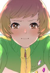 1girl :i backlighting blush brown_eyes brown_hair close-up commentary_request highres jacket komugi_(mugiwaraclub) looking_at_viewer persona persona_4 satonaka_chie school_uniform short_hair simple_background solo sweat track_jacket twitter_username wavy_mouth white_background