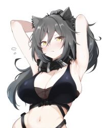 1girl animal_ear_fluff animal_ears arknights armpits arms_up bare_shoulders black_scarf blush bra breasts cat_ears cat_girl cleavage closed_mouth crop_top ear_piercing grey_hair hair_between_eyes heka=ton highres large_breasts long_hair looking_at_viewer navel piercing ponytail presenting_armpit scarf schwarz_(arknights) simple_background solo stomach striped_clothes striped_scarf sweat swimsuit underwear upper_body white_background yellow_eyes
