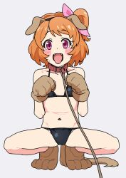 1girl aikatsu! aikatsu!_(series) animal_ear_hairband animal_ears animal_hands bikini black_bikini blush bow collar dog_ears dog_tail fake_animal_ears fake_tail fangs flat_chest full_body gloves hair_bow hairband highres leash navel open_mouth orange_hair osame ozora_akari paw_gloves paw_pose paw_shoes pink_bow pink_eyes ponytail red_collar short_hair short_ponytail side_ponytail simple_background small_sweatdrop solo squatting stomach string_bikini swimsuit tail tongue tongue_out