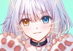 1girl :3 animal_hands bang_dream! bang_dream!_it&#039;s_mygo!!!!! black_choker blue_eyes blurry blush chinese_commentary choker commentary_request cyfrost depth_of_field drawn_ears drawn_whiskers gloves green_background heterochromia highres kaname_raana looking_at_viewer paw_gloves raana_the_cat shirt short_hair solo upper_body white_hair white_shirt yellow_eyes