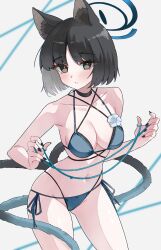 1girl absurdres animal_ears bikini black_eyes black_hair blue_archive blue_bikini blue_halo breasts cat_ears cat_tail commentary halo highres kikyou_(blue_archive) kikyou_(swimsuit)_(blue_archive) looking_at_viewer magui3 medium_breasts navel short_hair side-tie_bikini_bottom solo swimsuit tail