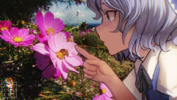 1girl artist_name bee black_ribbon blue_bow blue_eyes blurry blurry_background bow bug cirno collared_shirt commentary_request cosmos_(flower) day flower from_side grey_hair hair_bow highres insect medium_hair mochacot neck_ribbon outdoors photo_background purple_flower ribbon shirt solo touhou white_shirt