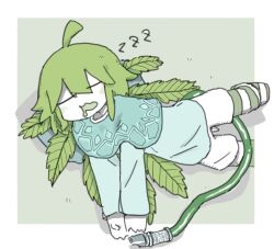 1girl ahoge blue_capelet blue_shirt blush border capelet closed_eyes drooling facing_viewer foot_out_of_frame green_background green_hair long_sleeves marijuana mouth_drool original outside_border pantyhose personification plant_wings shadow shirt shorts simple_background sleeping solo striped_clothes striped_pantyhose tail torosakana white_border white_shorts wings zzz
