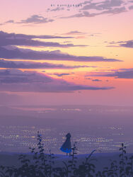 1girl artist_name bird city_lights cloak cloud commentary english_commentary from_behind highres hood hooded_cloak horizon huhv. landscape original outdoors plant purple_cloak scenery sky solo standing sunset very_wide_shot