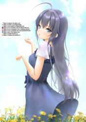 1girl :o ahoge aqua_eyes black_hair blue_dress commentary_request day dress fanbox_username feet_out_of_frame field flower flower_field hands_up highres instagram_username long_dress long_hair looking_at_viewer misaka-net paid_reward_available paw_pose pixiv_username shirt shirt_under_dress short_dress sky solo standing tsurumi_rumi twitter_username white_shirt yahari_ore_no_seishun_lovecome_wa_machigatteiru. youtube_username