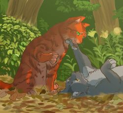 Rule 34 | affectionate, animal, animal focus, cat, commentary request, eye contact, firestar (warrior cats), flower, fugu (fugusunburst55), graystripe, green eyes, grey cat, grey fur, highres, leaf, looking at another, lying, no humans, on back, orange cat, orange fur, outdoors, pawpads, sitting, tree, warrior cats, whiskers, yellow eyes