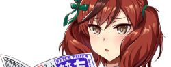 1girl abriel00 blush bow brown_eyes brown_hair commentary_request green_bow hair_bow looking_at_viewer low_twintails medium_hair nice_nature_(umamusume) open_mouth portrait simple_background solo translation_request twintails umamusume white_background