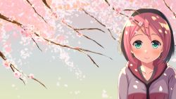 1girl black_hair black_shirt blurry blush branch cherry_blossoms closed_mouth collarbone depth_of_field colored_bangs female_focus green_eyes hair_between_eyes highres hood hooded_jacket jacket john_zhang john_zheng looking_at_viewer multicolored_hair osu! pink_hair pippi_(osu!) shirt short_hair smile solo two-tone_hair upper_body