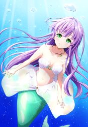 1girl bikini birthday breasts bubble cleavage collarbone commentary green_eyes hair_down highres jewelry link!_like!_love_live! long_hair looking_at_viewer love_live! medium_breasts mermaid monster_girl necklace otomune_kozue purple_hair qy73 shell shell_bikini solo strapless strapless_bikini swimsuit underwater