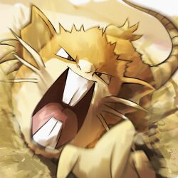 absurdres animal_focus blurry bright_pupils brown_eyes commentary_request fangs game_freak gen_1_pokemon highres nintendo no_humans open_mouth outdoors pokemon pokemon_(creature) raticate solo spicyichizo tongue