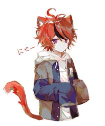 1boy animal_ears black_hair cat_boy cat_ears cat_tail closed_mouth frown highres hood hoodie long_sleeves male_focus multicolored_eyes multicolored_hair purple_eyes red_eyes red_fur red_hair simple_background solo solo_focus sumino_takumi tail the_hundred_line_-last_defense_academy- upper_body white_background