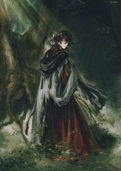 1boy black_hair cloak curly_hair dante_alighieri_(fate) dante_alighieri_(second_ascension)_(fate) doyamemo_f fate/grand_order fate_(series) forest full_body grey_cloak grey_eyes highres looking_at_viewer looking_back male_focus medium_hair nature on_grass outdoors red_robe robe solo standing torn_cloak torn_clothes tree