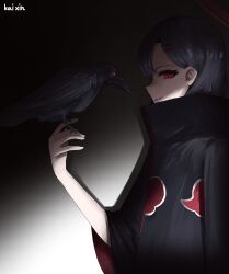 Rule 34 | 1girl, absurdres, akatsuki uniform, alternate costume, bird, black cloak, black hair, blue archive, cloak, commentary, crow, halo, highres, ichika (blue archive), kai xin, long hair, long sleeves, looking at viewer, naruto (series), naruto shippuuden, parted bangs, parted lips, profile, red eyes, red halo, sidelocks, simple background, smirk, wide sleeves