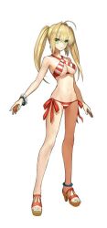 1girl bikini navel nero_claudius_(fate) nero_claudius_(fate/extra) swimsuit tagme wada_arco