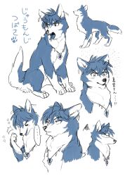 Rule 34 | animal, animalization, commentary request, jewelry, juumonji tsubasa, kyoukai no rinne, mame moyashi, multiple views, necklace, no humans, translation request, wolf