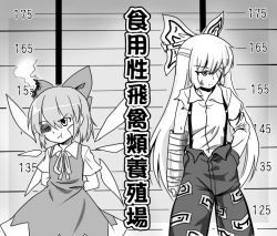 2girls :t bandage_over_one_eye bow bruise bruised_eye cast cirno eien_no_sai_tori fujiwara_no_mokou greyscale hair_bow hand_in_pocket height_chart height_difference injury long_hair monochrome mugshot multiple_girls pants short_hair suspenders touhou translation_request wings