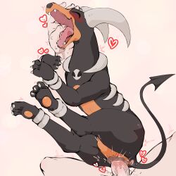 1boy 1girl ^_^ absurdres animal_pussy animal_sexualization anus bestiality blush canine_pussy claws closed_eyes drooling erection fangs finger_in_another&#039;s_mouth from_above gen_2_pokemon hand_on_another&#039;s_head happy_sex heart hetero highres houndoom lying nintendo on_side open_mouth pawpads penis pink_background pokemon pokemon_(creature) pussy pussy_juice red_leopard saliva sex solo_focus tongue trembling uncensored vaginal