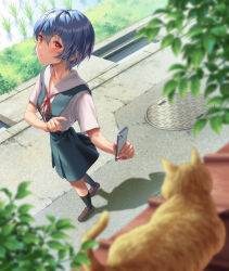 1girl ayanami_rei black_socks blue_hair blue_skirt blurry blurry_foreground blush bow bowtie breasts brown_shoes cat cellphone collared_shirt commentary foliage foreshortening from_above full_body highres holding holding_phone loafers looking_at_viewer manhole_cover neck_ribbon neon_genesis_evangelion orange_cat phone pointing pursed_lips red_bow red_bowtie red_eyes red_ribbon ribbon rice_paddy road school_uniform shadow shirt shoes short_hair short_sleeves skirt small_breasts smartphone socks solo storm_drain suspender_skirt suspenders taking_picture tile_roof tokyo-3_middle_school_uniform tree walking white_shirt yahha