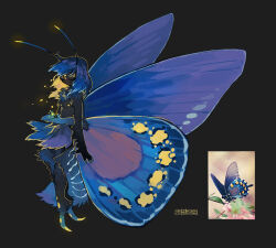 1girl animal antennae arthropod_girl arthropod_tail black_background black_fur blonde_hair blue_fur blue_hair body_fur bug butterfly butterfly_girl butterfly_wings claws closed_eyes colored_inner_hair extra_arms full_body highres insect insect_wings long_hair monster_girl multicolored_hair no_feet original photo_inset reference_inset shuini_xiaomao simple_background solo tail wings
