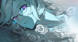 Rule 34 | 1boy, aotsuki eito, eyebrows, eyelashes, flower, glasses, highres, looking at viewer, male focus, multicolored eyes, open mouth, pink eyes, purple eyes, solo, solo focus, teeth, the hundred line -last defense academy-, white hair