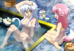 10s 2girls :d absurdres ahoge barefoot bath bathing breasts cleavage dog_days dog_girl fang feet hair_over_breasts highres leonmitchelli_galette_des_rois long_hair millhiore_f._biscotti multiple_girls non-web_source nude nyantype official_art open_mouth pink_hair purple_eyes silver_hair smile soap soles submerged sunagawa_masakazu tail towel tub water yellow_eyes