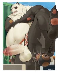 1boy anal anal_object_insertion animal_ears anus ass bara bare_pectorals barefoot belly biceps black_fur chenxiao_bull claws commentary completely_nude erection fat furry furry_male gourd highres jewelry leg_up looking_down male_focus multicolored_fur navel nipples nude object_insertion open_mouth pan_yinhu panda_boy panda_ears pawpads pectorals penis plump precum ring signature spread_ass symbol-only_commentary testicles tongue tongue_out white_fur zenless_zone_zero