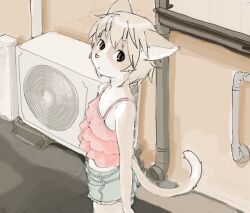 1girl body_fur brown_eyes brown_hair camisole cat_girl cowboy_shot furry furry_female kikurage_(crayon_arts) looking_at_viewer looking_back original outdoors pink_camisole short_hair shorts solo tail