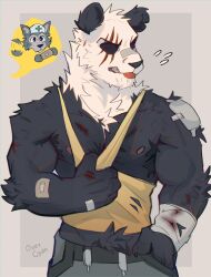 2boys absurdres animal_ears bandaged_arm bandaged_wrist bandages bandaid bandaid_on_arm bandaid_on_face bandaid_on_nose bara beastars black_fur bruise chibi commentary dog_nose english_commentary flying_sweatdrops furry furry_male gouhin grey_fur hat highres holding_bandaid injury legoshi looking_to_the_side male_focus multicolored_fur multiple_boys muscular muscular_male nipples nurse_cap panda_boy panda_ears pants pectorals scar scar_across_eye scar_on_face speech_bubble spoken_character tank_top tongue tongue_out track_pants uncle_quil_(overcyan) white_fur wolf_boy wolf_ears yellow_tank_top