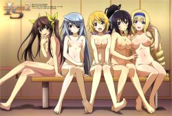 5girls blonde_hair breasts brown_hair cecilia_alcott charlotte_dunois completely_nude green_eyes grey_hair huang_lingyin infinite_stratos laura_bodewig long_hair midriff multiple_girls nipples nude purple_eyes red_eyes shinonono_houki short_hair twintails