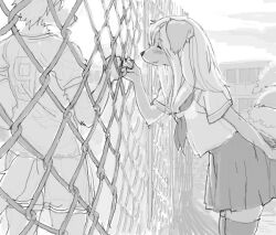 1boy 1girl blush body_fur chain-link_fence closed_eyes cowboy_shot dog_boy dog_girl facing_another fence furry furry_female furry_male greyscale hetero index_finger_raised kikurage_(crayon_arts) long_hair monochrome original outdoors pinky_swear school_uniform serafuku skirt sportswear standing tail thighhighs