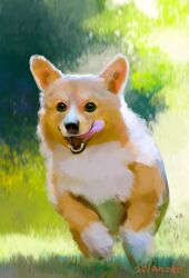 Rule 34 | animal, animal focus, artist name, day, dog, grass, highres, no humans, open mouth, original, outdoors, running, solanoko, tongue, tongue out, welsh corgi