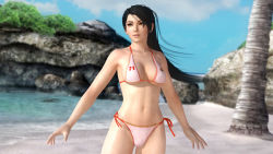 1girl 3d beach bikini black_hair breasts brown_eyes dead_or_alive dead_or_alive_5 female_focus large_breasts long_hair momiji_(ninja_gaiden) ninja_gaiden ninja_gaiden:_dragon_sword ocean official_art ponytail solo swimsuit tecmo