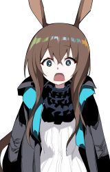 1girl absurdres amiya_(arknights) animal_ears arknights ascot black_ascot blue_eyes brown_hair commentary_request dress hair_between_eyes highres hood hood_down hooded_jacket jacket kinbakuman long_hair long_sleeves looking_at_viewer open_clothes open_jacket open_mouth rabbit_ears solo surprised sweater sweater_dress upper_body white_background wide-eyed