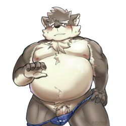 1boy animal_ears artist_name bara bare_pectorals belly biceps blue_fundoshi blush brown_fur claws commentary dog_boy dog_ears dog_nose english_commentary facial_scar fat fat_man flaccid furrowed_brow furry furry_male hand_on_own_hip highres looking_to_the_side male_focus male_underwear male_underwear_pull malliseed moritaka_(housamo) navel nipples open_mouth pectorals penis penis_peek precum precum_through_clothes scar scar_across_eyebrow scar_on_cheek scar_on_chest scar_on_face scar_on_nose sweatdrop tokyo_houkago_summoners topless_male twitter_username underwear white_background