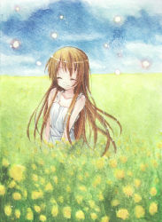 Rule 34 | 00s, brown hair, clannad, closed eyes, flower, girl from the illusionary world, highres, long hair, mizuki riyu, solo, sparkle