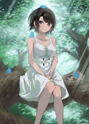 1girl absurdres alternate_costume bare_shoulders bird bird_nest black_hair blue_bird blue_eyes blush buttons closed_mouth collarbone double-breasted dress egg feet_out_of_frame hands_on_lap highres hololive in_tree knees_together_feet_apart light_rays looking_at_viewer oozora_subaru outdoors short_hair sitting sitting_in_tree sl10_d smile solo sunbeam sunlight swept_bangs tree virtual_youtuber white_dress