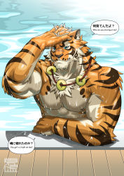 1boy animal_ears bara beige_fur biceps blue_eyes completely_nude english_text furry furry_male gyee hand_in_own_hair highres jewelry lin_hu_(nekojishi) looking_at_viewer male_focus mature_male monmonhomon muscular muscular_male necklace nekojishi nipples nude orange_fur pectorals pool short_hair solo speech_bubble tiger_boy tiger_ears tiger_stripes upper_body wet