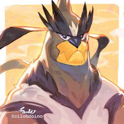 1boy bara bear_boy border cilohnoino closed_mouth expressionless furrification furry gen_8_pokemon legendary_pokemon looking_at_viewer male_focus nintendo pokemon pokemon_(creature) solo thick_eyebrows upper_body urshifu urshifu_(single) white_border