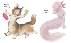 2girls animal_ears axolotl_ears axolotl_girl axolotl_tail ball body_fur brown_fur brown_hair centauroid claws closed_eyes colored_skin dog_ears dog_girl fangs fins frisbee full_body head_fins highres holding holding_ball looking_at_viewer monster_girl multiple_girls original personification pink_hair pink_skin running short_hair simple_background sparrowl taur tennis_ball tongue tongue_out white_background