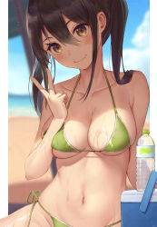 1girl arl beach bikini black_hair blurry blush bottle breasts brown_eyes collarbone cooler day depth_of_field dripping fang green_bikini hair_between_eyes halterneck hand_up head_tilt highres looking_at_viewer medium_breasts navel original outdoors outside_border shade shiny_skin side-tie_bikini_bottom sidelocks skin_fang skindentation smile solo string_bikini sunlight swimsuit twintails underboob upper_body v water_bottle wet