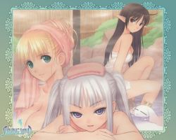 3girls ahoge bath blonde_hair blush breasts brown_eyes brown_hair clalaclan_philias cleavage crown elf green_eyes hair_up hat houmei large_breasts lassi legs long_hair long_legs multiple_girls naked_towel naughty_face official_art onsen pointy_ears purple_eyes sega shining_(series) shining_wind soap spa steam thighs tony_taka topless_female towel towel_on_head twintails water white_hair xecty_ein