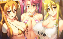 3girls animal_ears bare_shoulders bikini bikini_top_only blonde_hair blush breasts brown_eyes brown_hair cat_ears cleavage clothes covered_erect_nipples elbow_gloves front-tie_top glasses gloves highres highschool_of_the_dead huge_breasts long_hair marikawa_shizuka micro_bikini miyamoto_rei multiple_girls navel one-piece_swimsuit pink_hair red_eyes school_swimsuit smile swimsuit takagi_saya twintails yellow_eyes yn_red