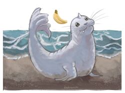 artist_name banana border dewgong dietranch fangs food fruit gen_1_pokemon highres horns nintendo no_humans outdoors outside_border pokemon pokemon_(creature) sand single_horn solo water whiskers white_border