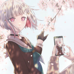 2girls aqua_neckerchief black_gloves bob_cut brown_cardigan brown_dress cardigan cherry_blossoms closed_mouth commentary_request dress falling_petals gloves grey_hair half_gloves hasu_no_sora_school_uniform holding holding_phone inverted_bob link!_like!_love_live! long_sleeves looking_at_viewer love_live! multicolored_hair multiple_girls murano_sayaka neckerchief out_of_frame outdoors petals phone pink_petals red_hair sailor_collar school_uniform short_hair smile solo_focus streaked_hair suito upper_body virtual_youtuber white_background white_sailor_collar winter_uniform yugiri_tsuzuri